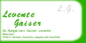 levente gaiser business card